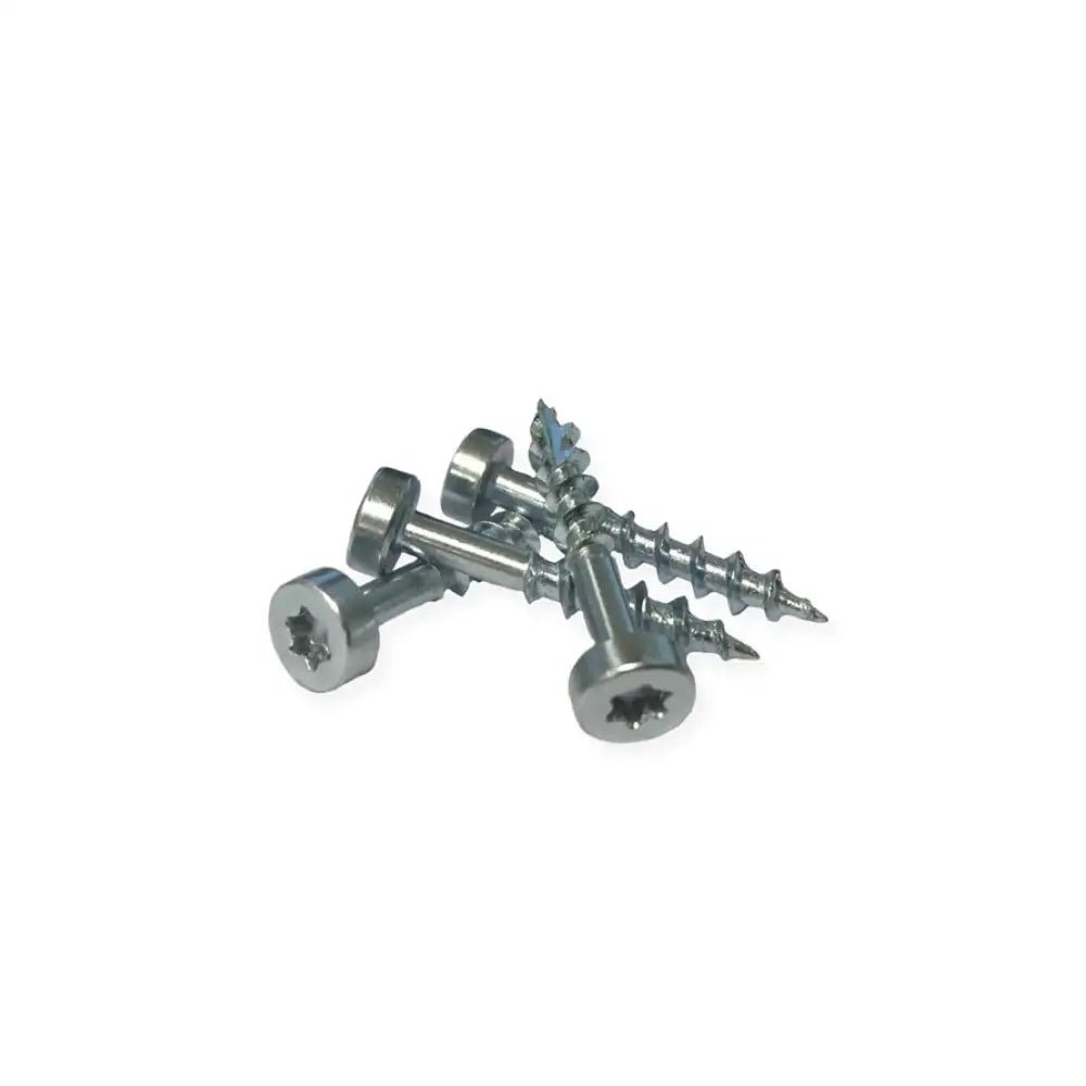 Maleta con 700 Tornillos Torx T20 PocketScrewKit700™
