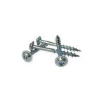 Maleta con 700 Tornillos Torx T20 PocketScrewKit700™